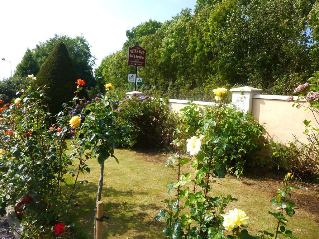 Reeks View Bed and Breakfast Teernaboul Eksteriør billede